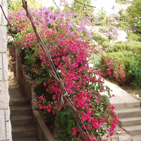 By The Sea Prizba, Korcula - 11069 Appartement