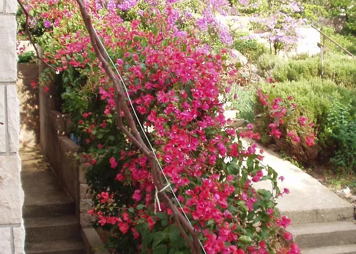 By The Sea Prizba, Korcula - 11069 Apartament